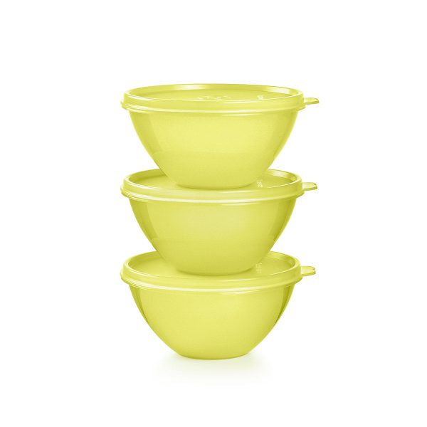 Tupper Ware Small Wonderlier® Bowls