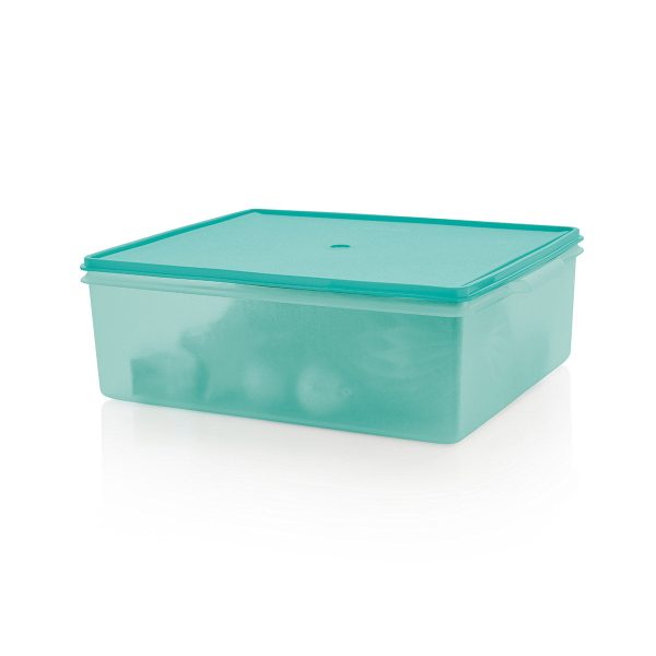 Tupper Ware Tupperware® Large Storage Tote | 5.5 gal/21 L Home Organizer Container