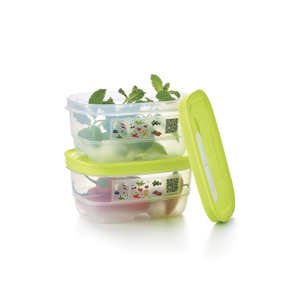 Tupper Ware FridgeSmart® Minis